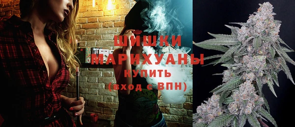 тгк Володарск