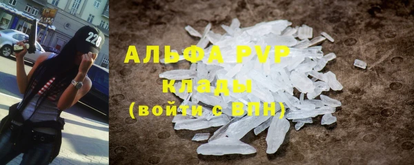 тгк Володарск